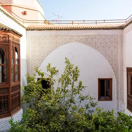 Riad Ben Youssef-3